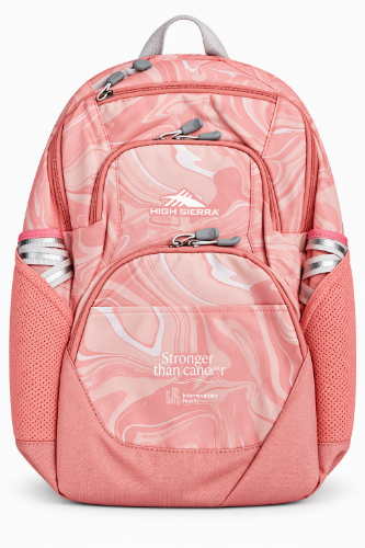 High Sierra Swoop SG Laptop Backpack